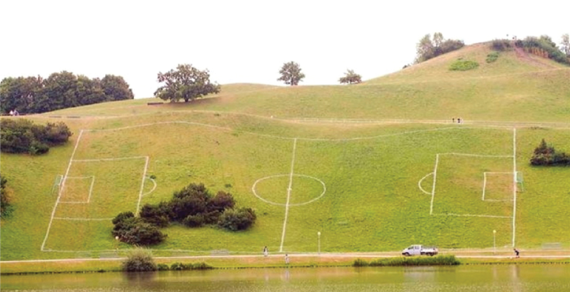 Veld